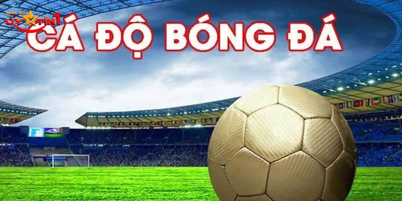 Đã có nhiều người chơi mắc phải và gặp nhiều rủi ro đáng tiếc