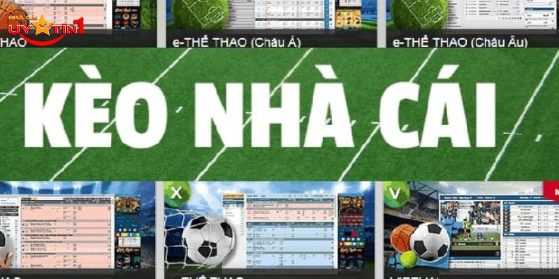Đây là những nhà cái uy tín được nhiều người chơi đánh giá cao
