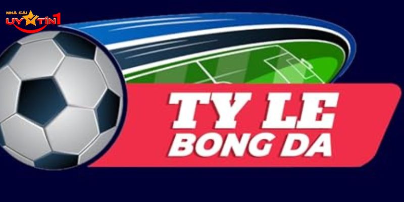 Gợi ý top 10 nhà cái có tỷ lệ bóng đá hấp dẫn nhất hiện nay