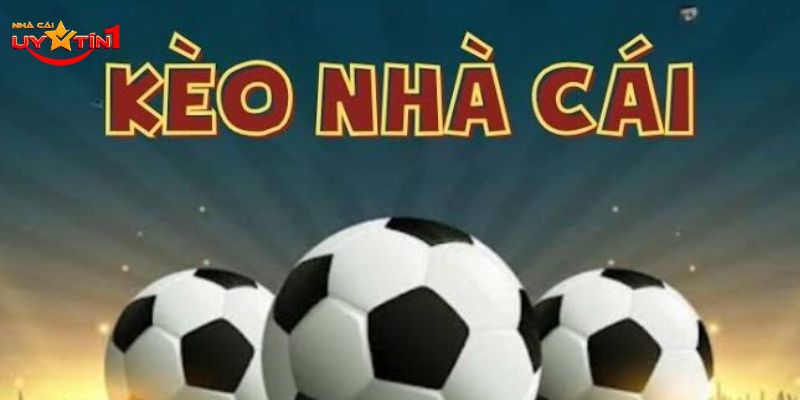 Kèo nhà cái 5 là tỷ lệ cược được nhà cái đưa ra