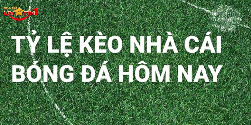 Kèo nhà cái hôm nay được nhiều người chơi quan tâm