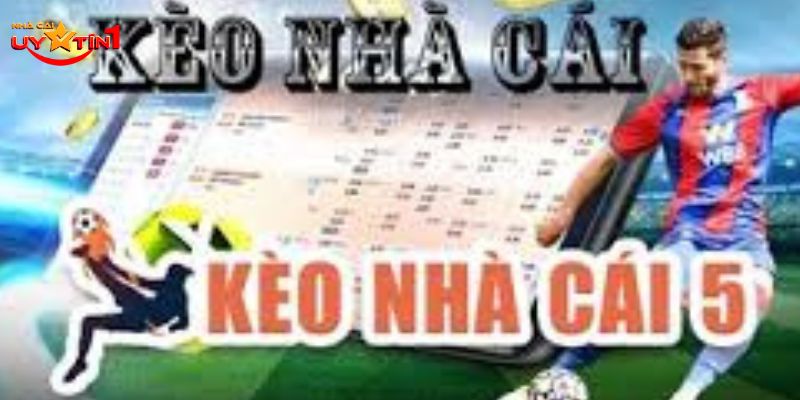 Những tiêu chí đánh giá kèo nhà cái 5 bạn không được bỏ qua