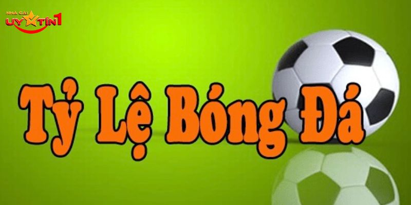 Tỷ lệ bóng đá được nhiều người chơi tìm hiểu